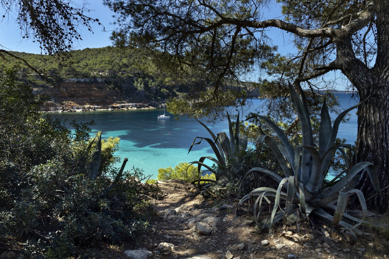 The way to the Cala Saladeta in Ibiza, Spain