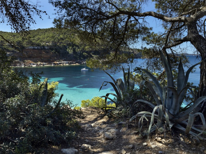 The way to the Cala Saladeta in Ibiza, Spain